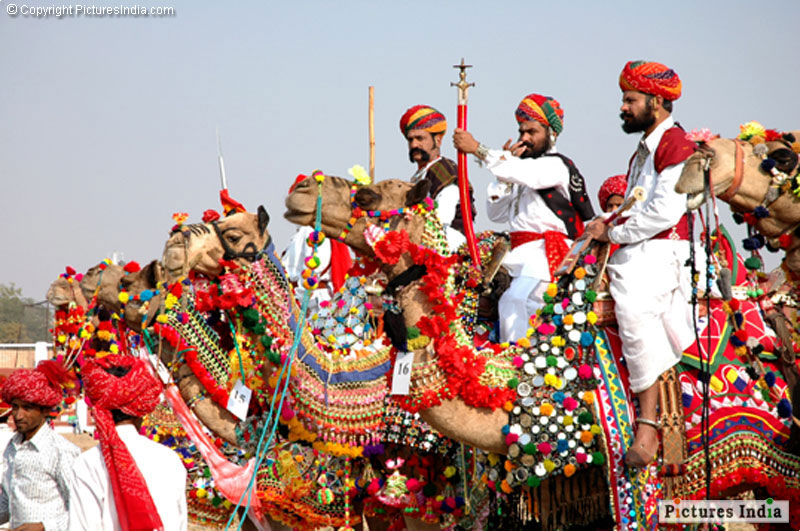 Bikaner fair