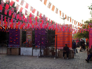 Delhi haat celebration
