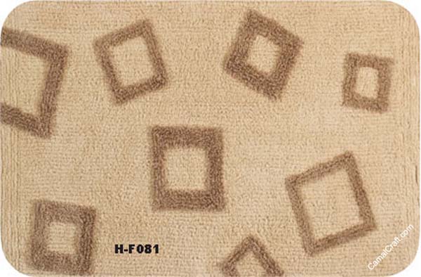 H-F081