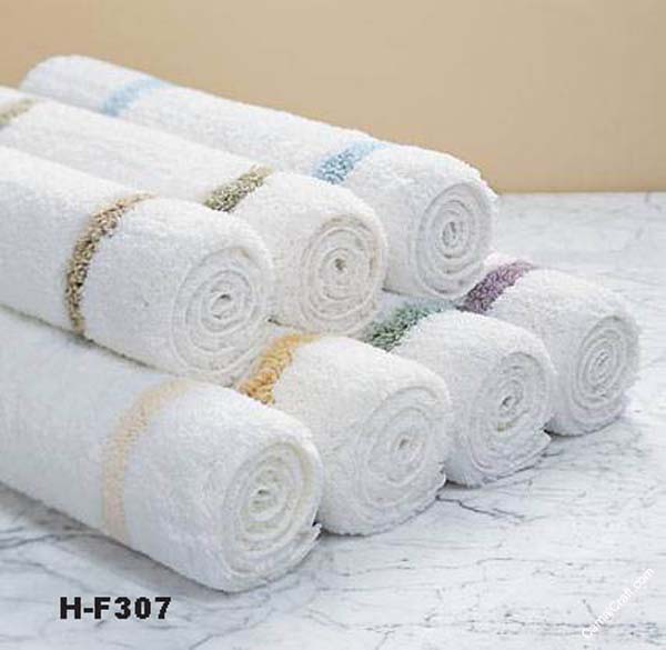 H-F307