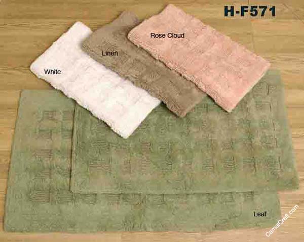 H-F571