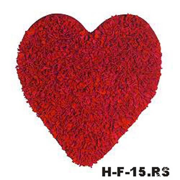 H-F-15.RS